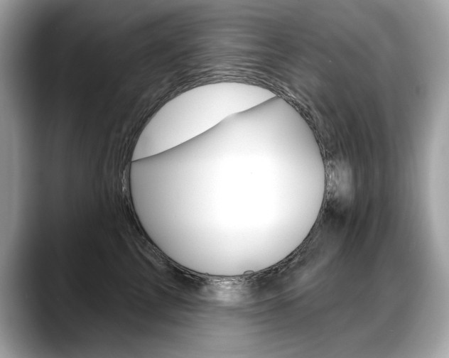 X0000088690713200705310958