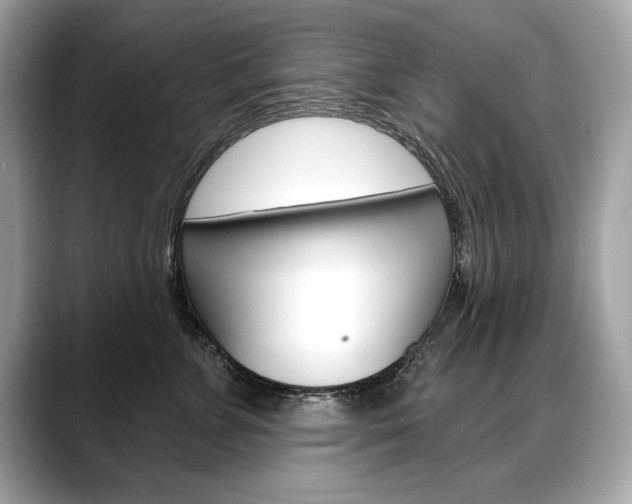 X0000088690715200705310958