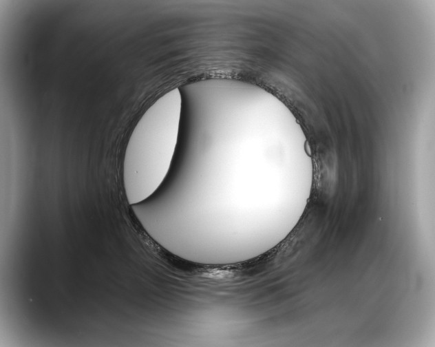 X0000088690718200705310958