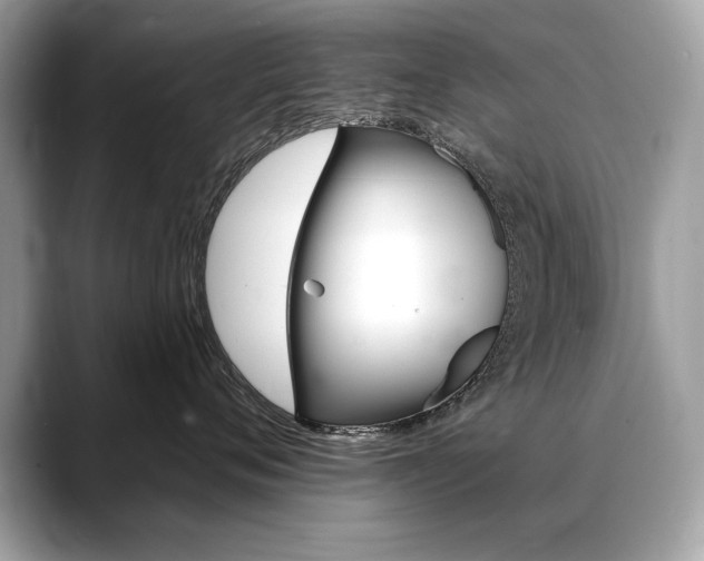 X0000088690720200705310958