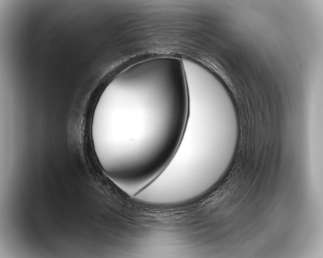 X0000088690724200705310957