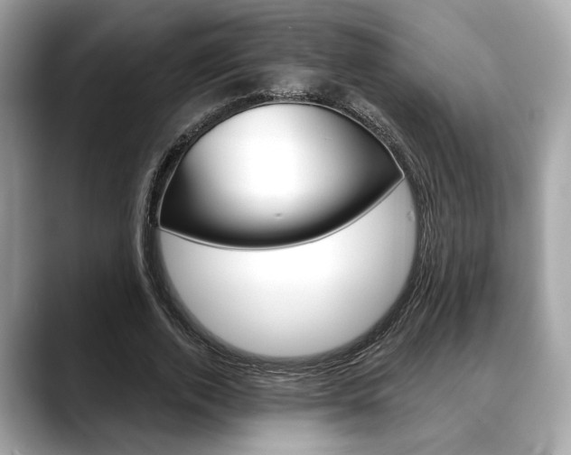 X0000088690728200705310957