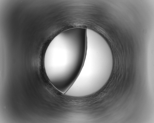 X0000088690732200705310957