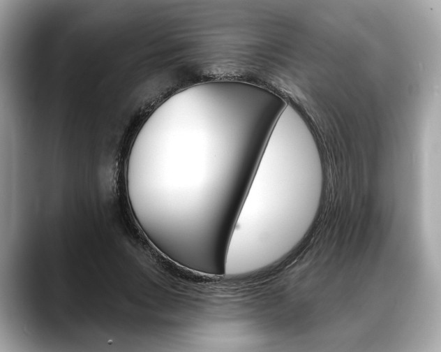 X0000088690735200705310957