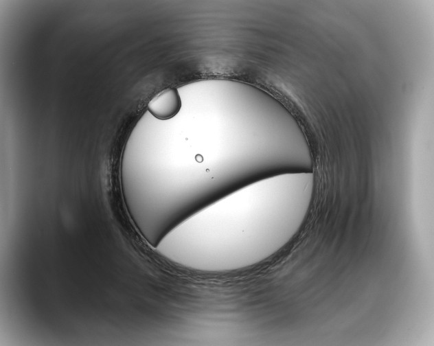 X0000088690738200705310957