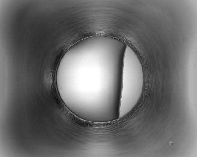 X0000088690740200705310957