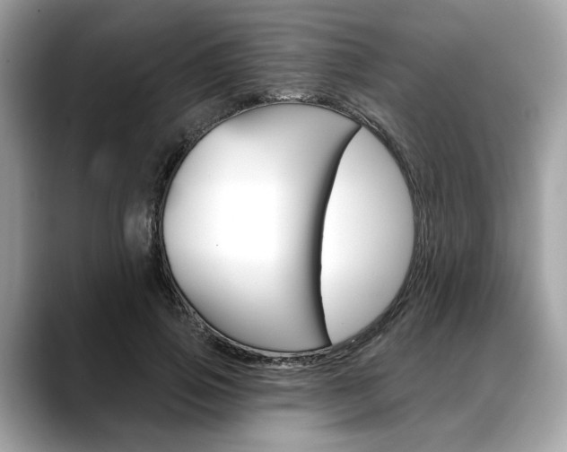 X0000088690741200705310957