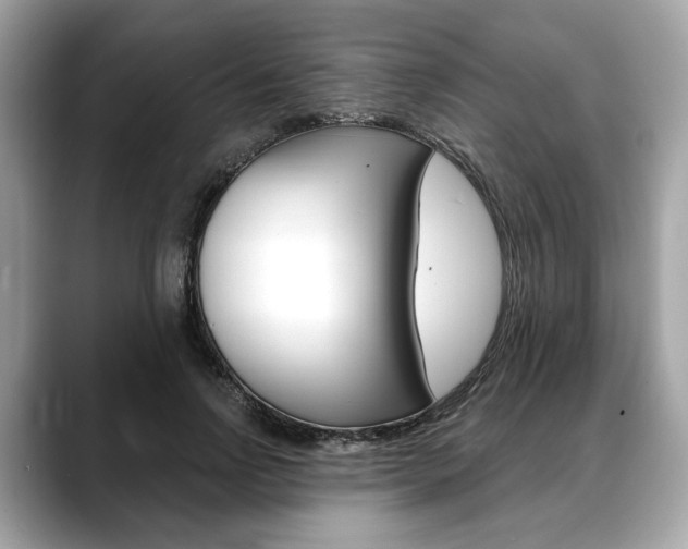 X0000088690742200705310957