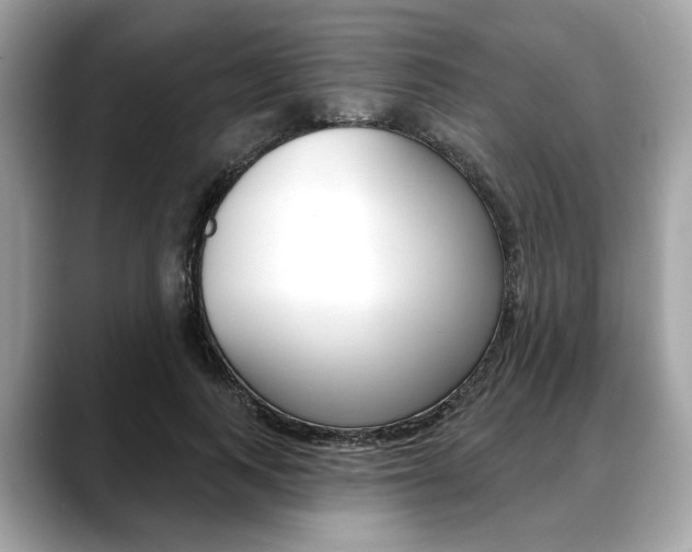 X0000088690743200705310958