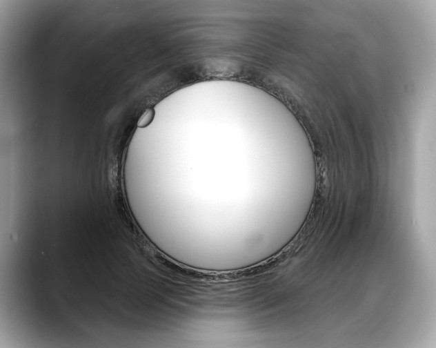 X0000088690745200705310958