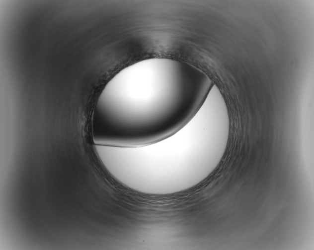 X0000088690750200705310958