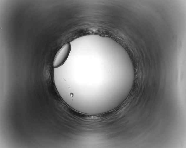X0000088690754200705310958