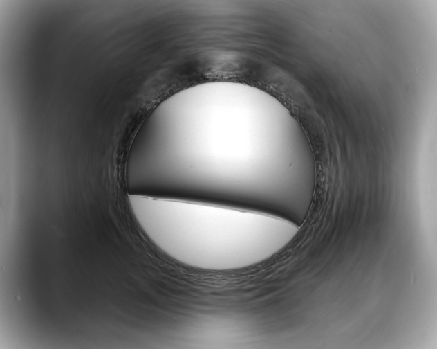X0000088690755200705310958