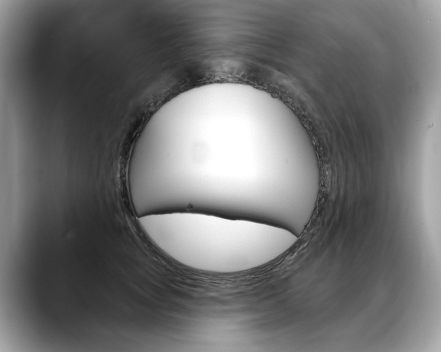 X0000088690757200705310958