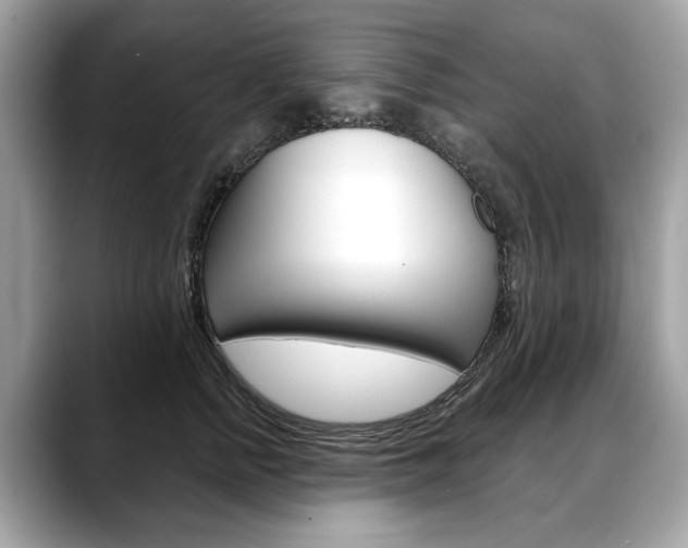 X0000088690758200705310958