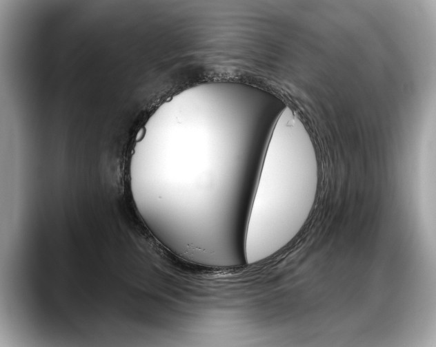 X0000088690759200705310958