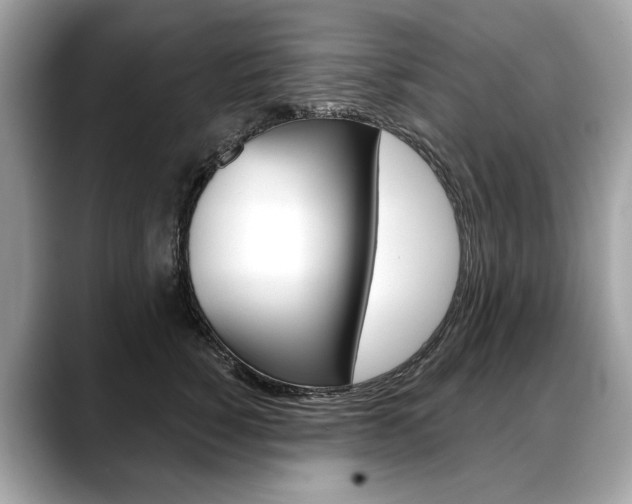 X0000088690760200705310958