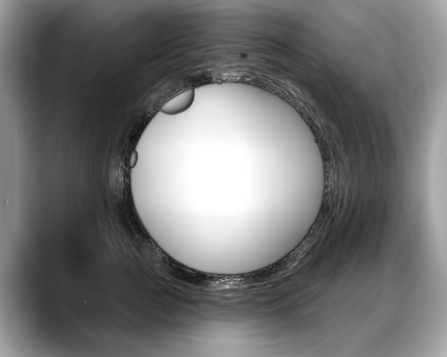X0000088690761200705310958