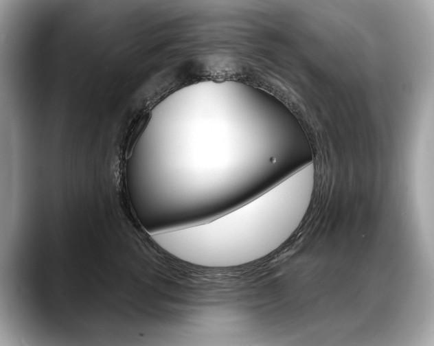 X0000088690762200705310958