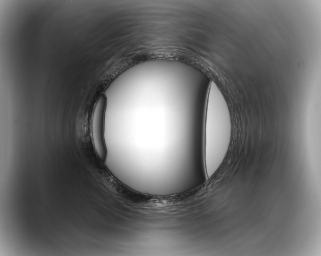 X0000088690764200705310958