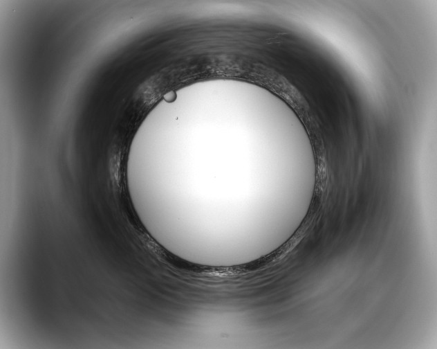 X0000088690765200705310958