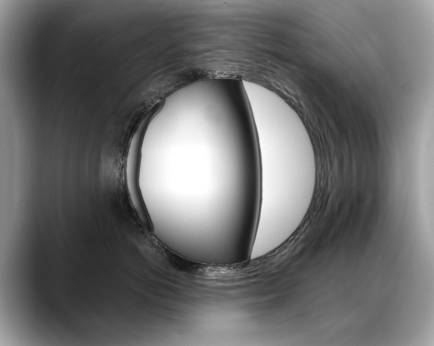 X0000088690766200705310958