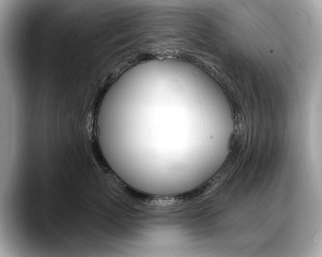 X0000088690767200705310958