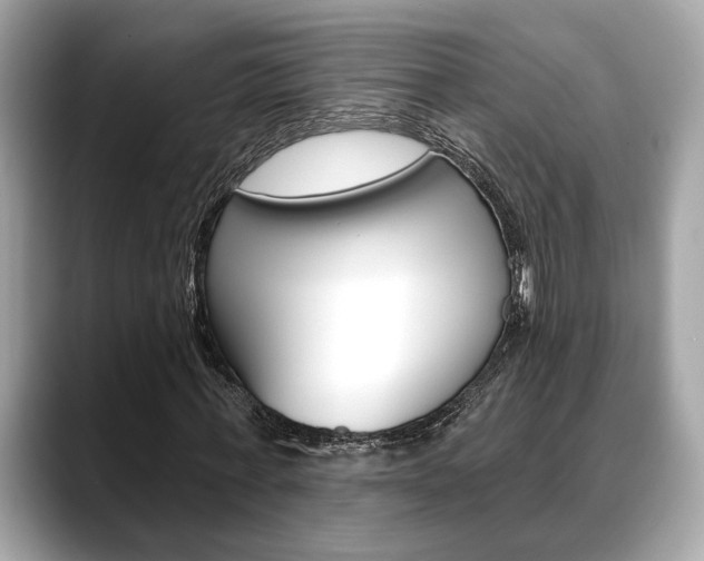 X0000088690771200705310957