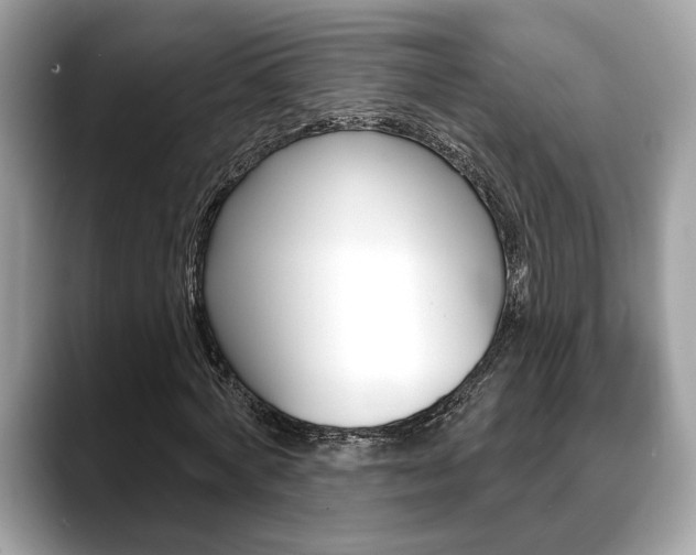 X0000088690772200705310957