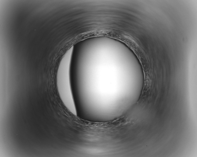 X0000088690773200705310957
