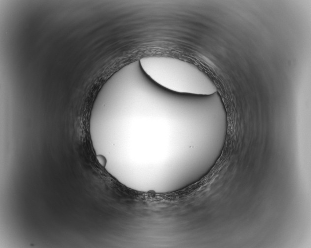 X0000088690774200705310957