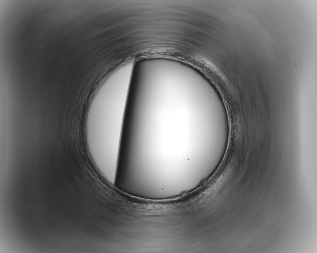 X0000088690777200705310957