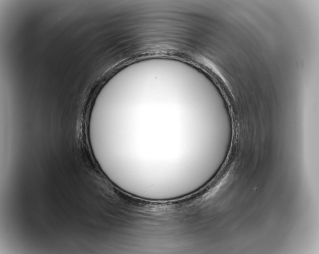 X0000088690778200705310957