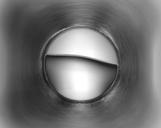 X0000088690779200705310957
