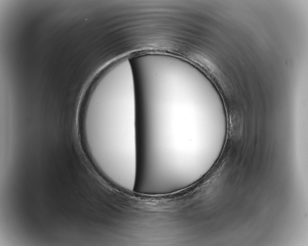 X0000088690780200705310957