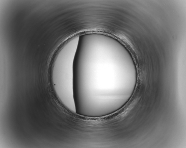X0000088690781200705310957
