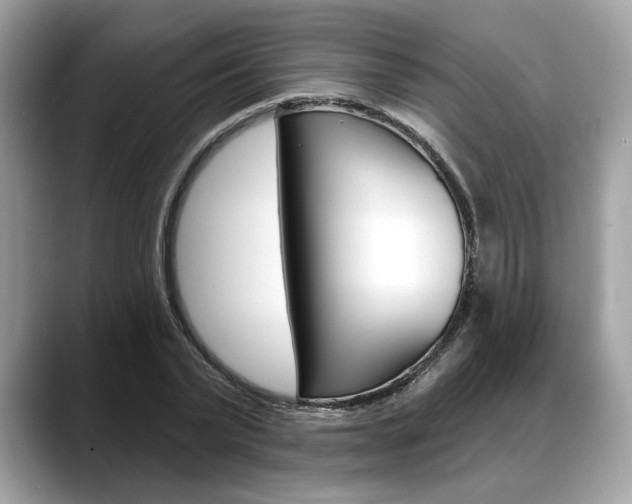 X0000088690783200705310957