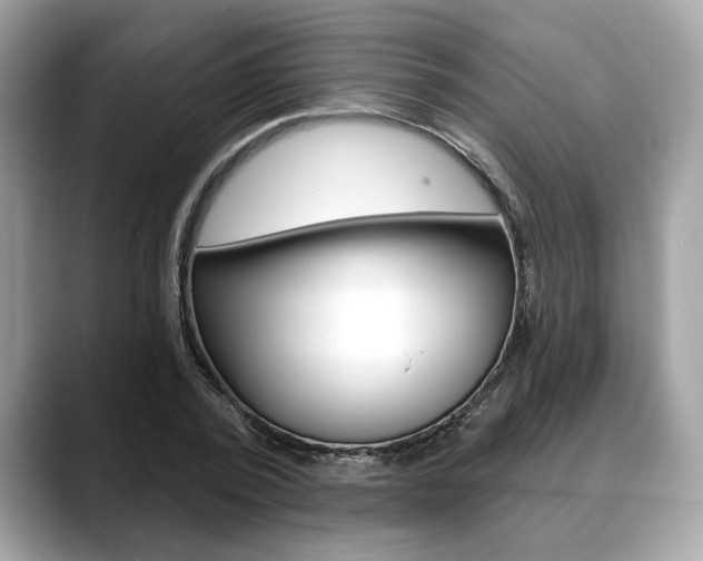 X0000088690784200705310957
