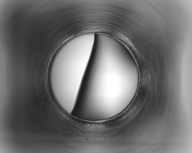 X0000088690786200705310957