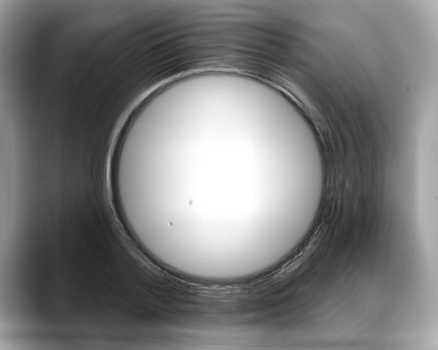 X0000088690788200705310957