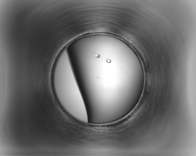 X0000088690789200705310957