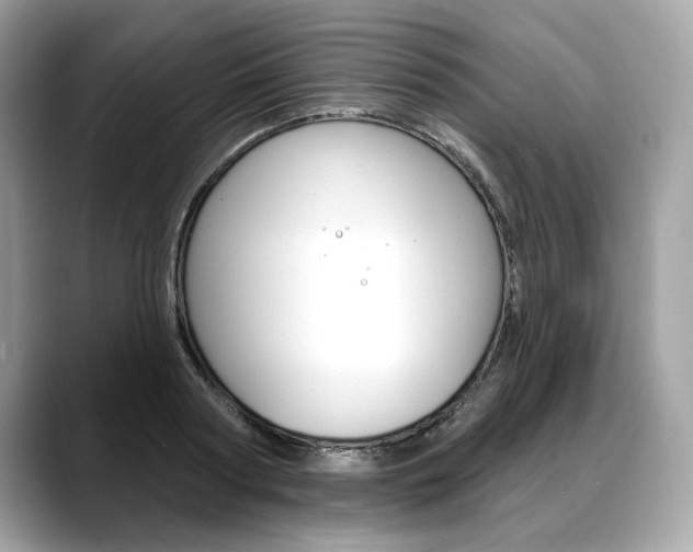X0000088690794200705310957