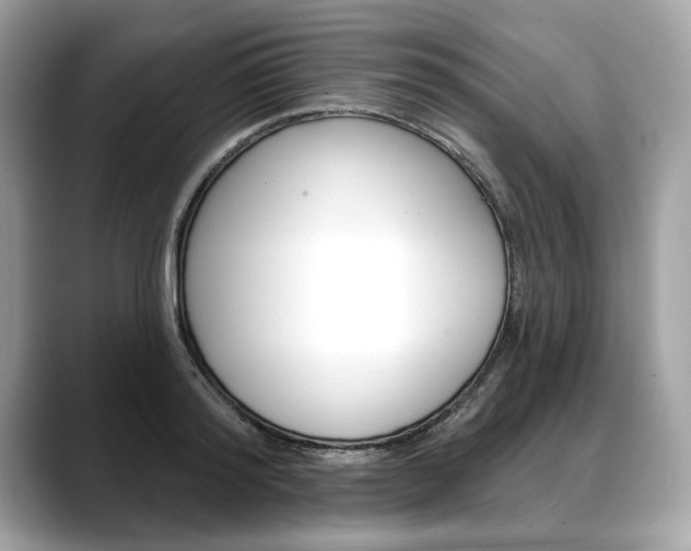 X0000088690796200705310957