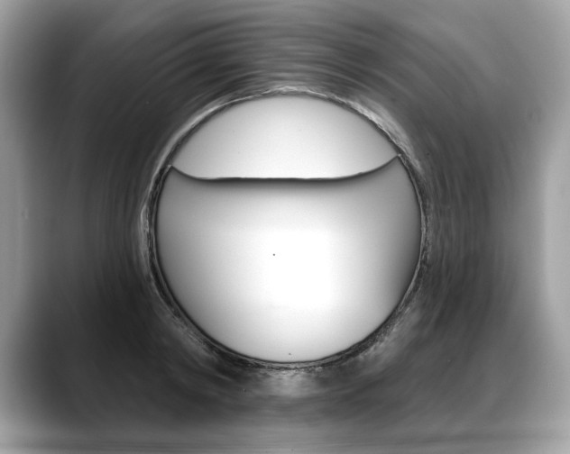 X0000088690798200705310957