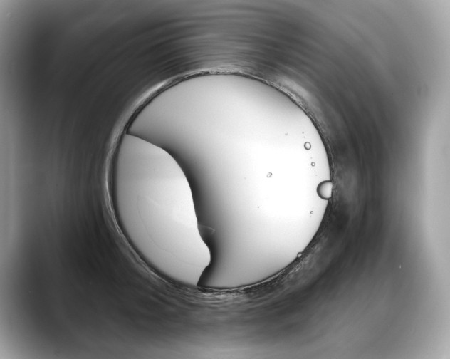 X0000088690804200705310957