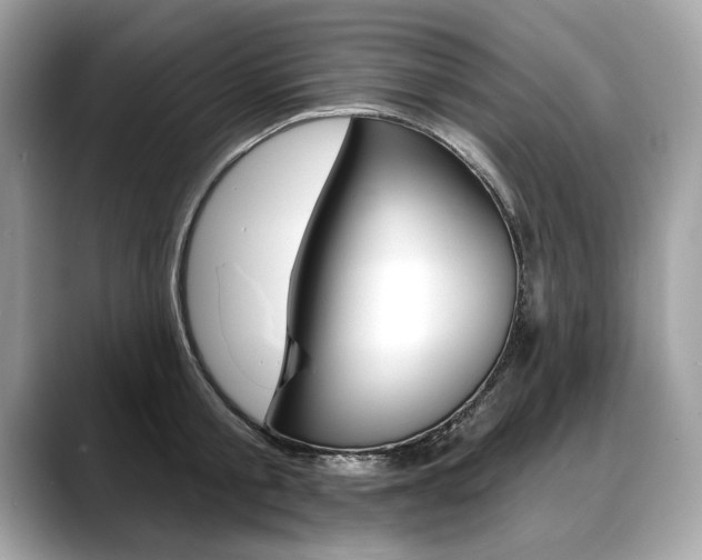 X0000088690805200705310957