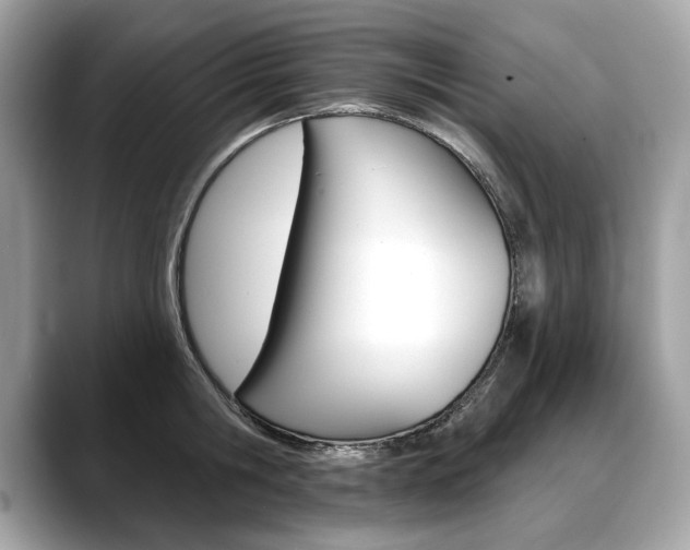 X0000088690806200705310957