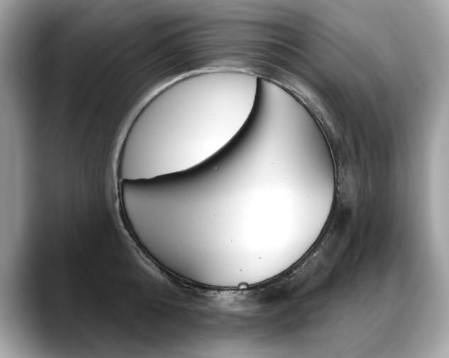 X0000088690808200705310957