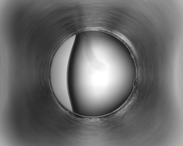 X0000088690809200705310957