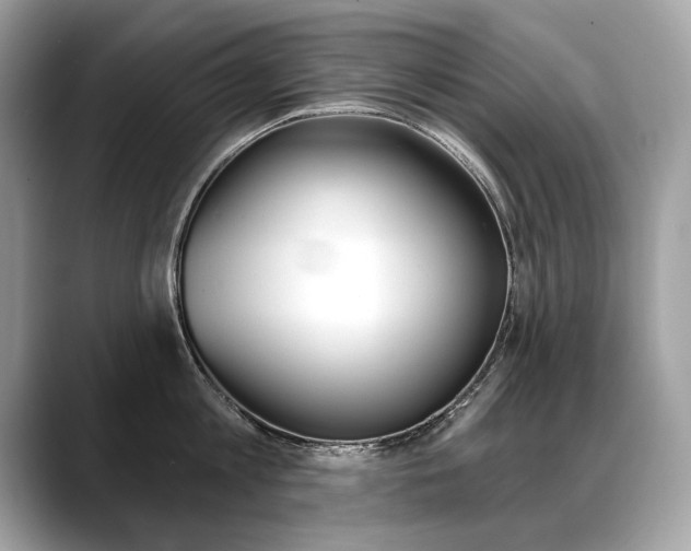 X0000088690813200705310957